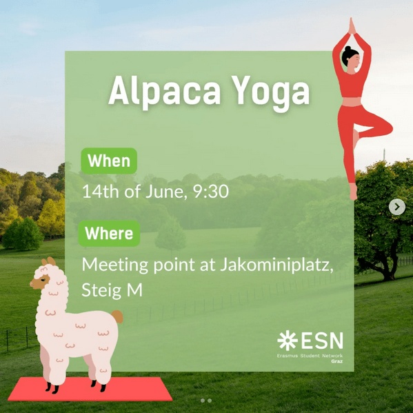 🦙🧘🏼‍♀️ Alpaca Yoga 🧘🏼‍♀️🦙