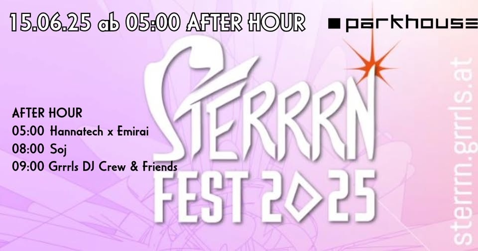 🔊STERRN FESTIVAL 2025 🔊Afterhour 🔊