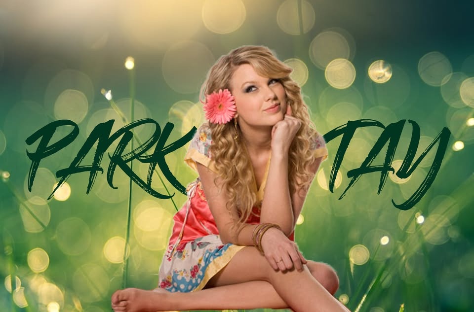Taylor Swift Parkday - 2. Erase Tour Edition