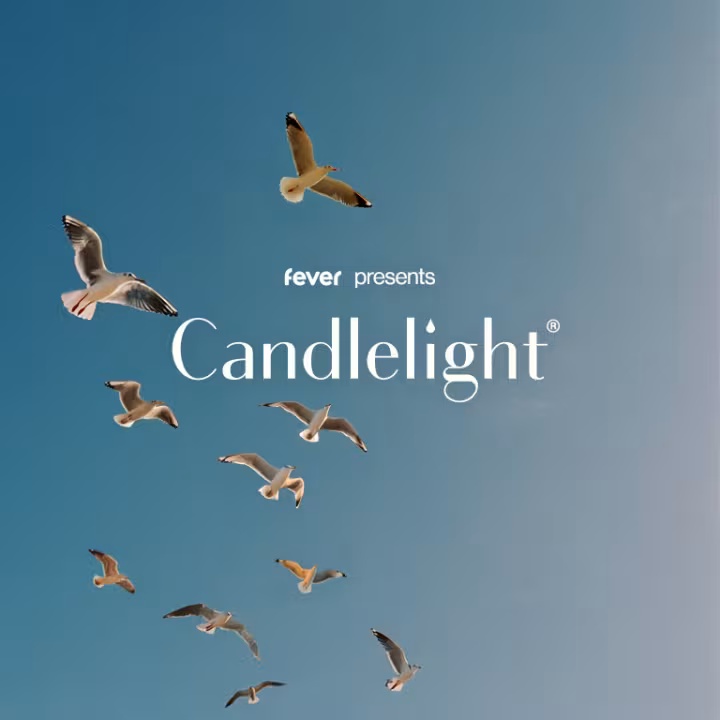 Candlelight Konzert: Tribut an Taylor Swift