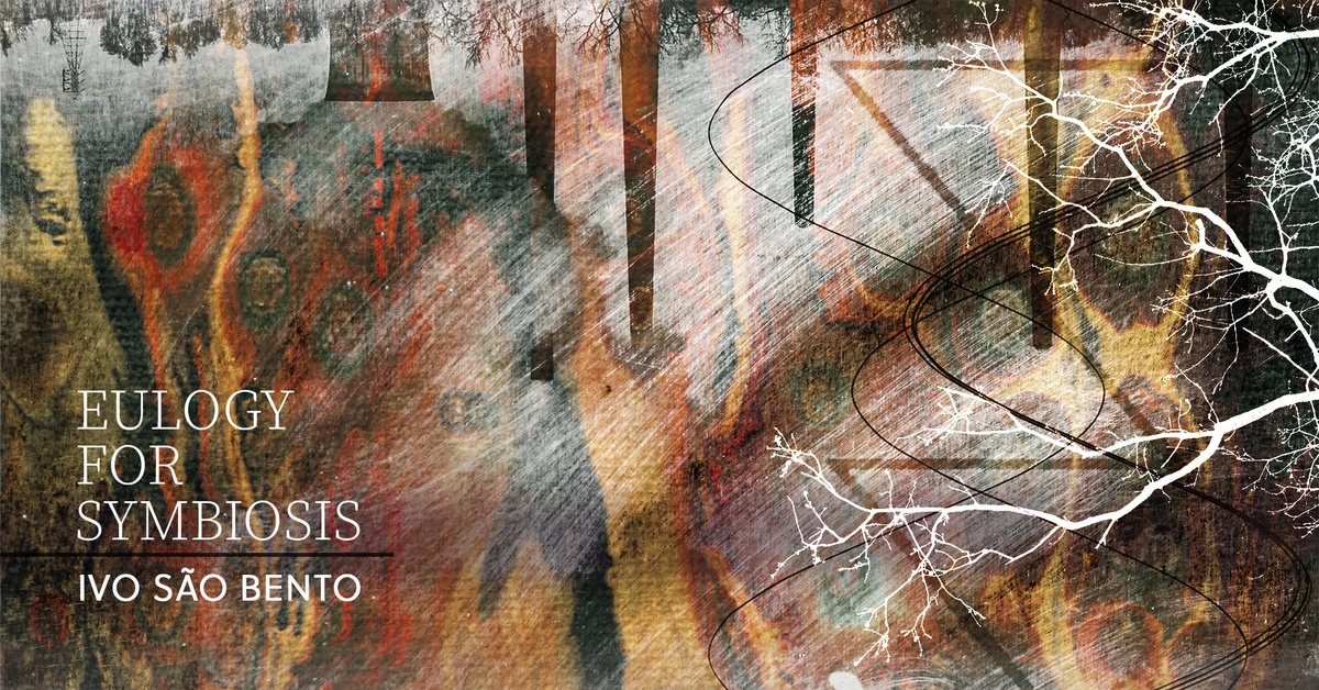 Ivo São Bento (VelgeNaturlig) - Eulogy for symbiosis - Sequenz 1
